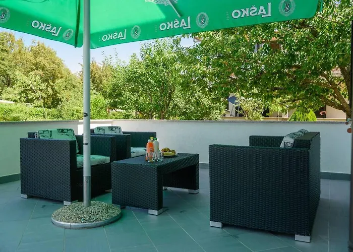 Magnolia By Briskva Vinez